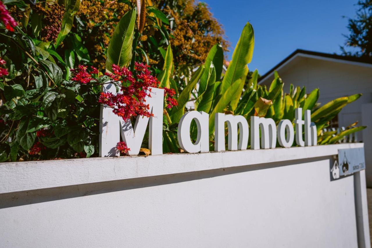 Mammoth Boutique Hotel Chiang Mai Eksteriør billede